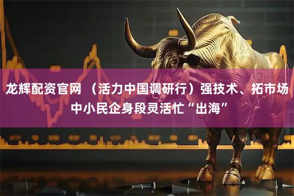 龙辉配资官网 （活力中国调研行）强技术、拓市场 中小民企身段灵活忙“出海”