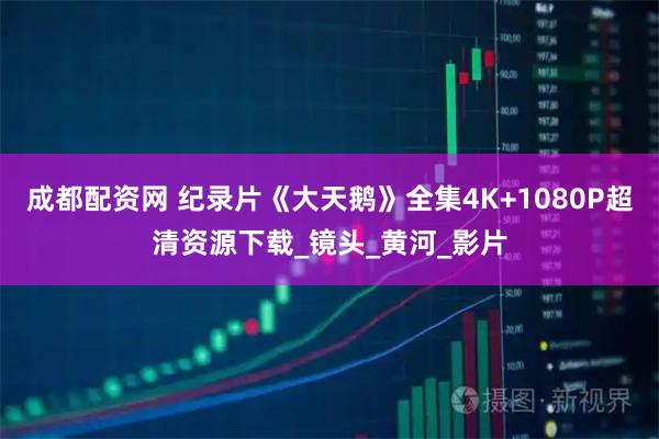 成都配资网 纪录片《大天鹅》全集4K+1080P超清资源下载_镜头_黄河_影片