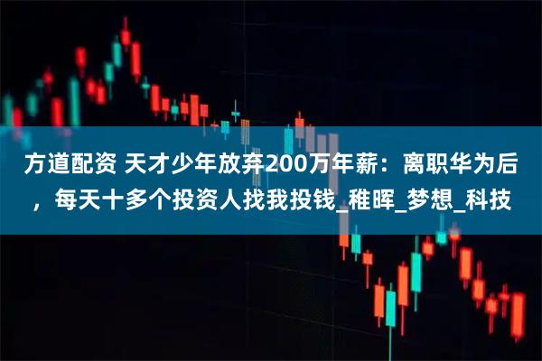 方道配资 天才少年放弃200万年薪：离职华为后，每天十多个投资人找我投钱_稚晖_梦想_科技