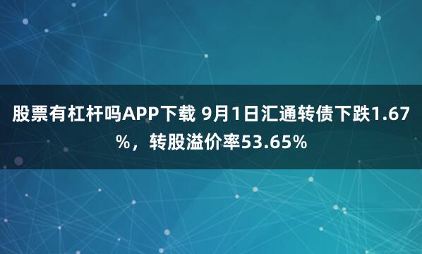 股票有杠杆吗APP下载 9月1日汇通转债下跌1.67%，转股溢价率53.65%